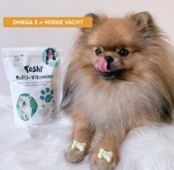 Toshi Multi Vitaminen Met Omega-3 - 100% Natuurlijke Hondensnack Voor Kleine En Grote Honden - Hondenkoekjes Voor Een Gezonde Levensstijl -Hondenartikelen Serie Winkel 1200x1167 3