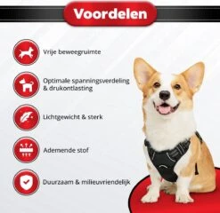 Purrr Fect Hondentuigje - Anti-Trek Tuig - Hondenharnas - Y Tuig Hond - Waterproof - Reflecterend - Verstelbaar - Maat M -Hondenartikelen Serie Winkel 1200x1167 30