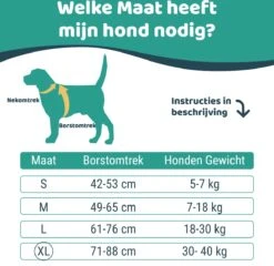 Mmoods Hondentuigje Grijs - Anti-Trek Tuig - Hondenharnas Voor Extra Grote Honden - Reflecterende Halsband Hond - Hondenhalsband Maat XL -Hondenartikelen Serie Winkel 1200x1167 33