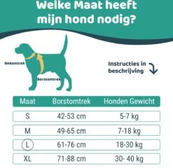 Mmoods Hondentuigje Grijs - Anti-Trek Tuig - Hondenharnas Voor Grote Honden- Reflecterende Halsband Hond - Hondenhalsband Maat L -Hondenartikelen Serie Winkel 1200x1167 41