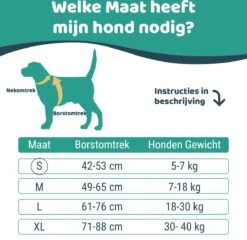 Mmoods Hondentuigje Grijs - Anti-Trek Tuig Voor Puppy's - Hondenharnas Voor Kleine Honden - Reflecterende Halsband Hond - Hondenhalsband Maat S -Hondenartikelen Serie Winkel 1200x1167 46