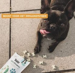 Toshi Multi Vitaminen Met Omega-3 - 100% Natuurlijke Hondensnack Voor Kleine En Grote Honden - Hondenkoekjes Voor Een Gezonde Levensstijl -Hondenartikelen Serie Winkel 1200x1167 5