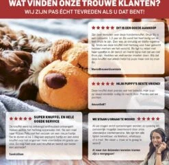 Vulpes Pets® Knuffel Hond Met Hartslag – Puppyknuffel - Hondenknuffel Voor Puppy - Snuggle Puppy - Knuffel Met Hartslag En Gratis Warmte Pad Speciaal Voor Puppy's -Hondenartikelen Serie Winkel 1200x1167 51