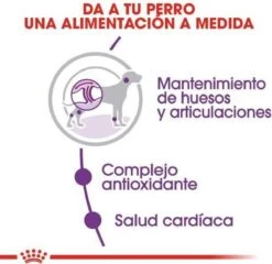 Royal Canin Giant Adult 15 KG 27 Royal Canin Giant Adult 15 KG -Hondenartikelen Serie Winkel 1200x1168 1