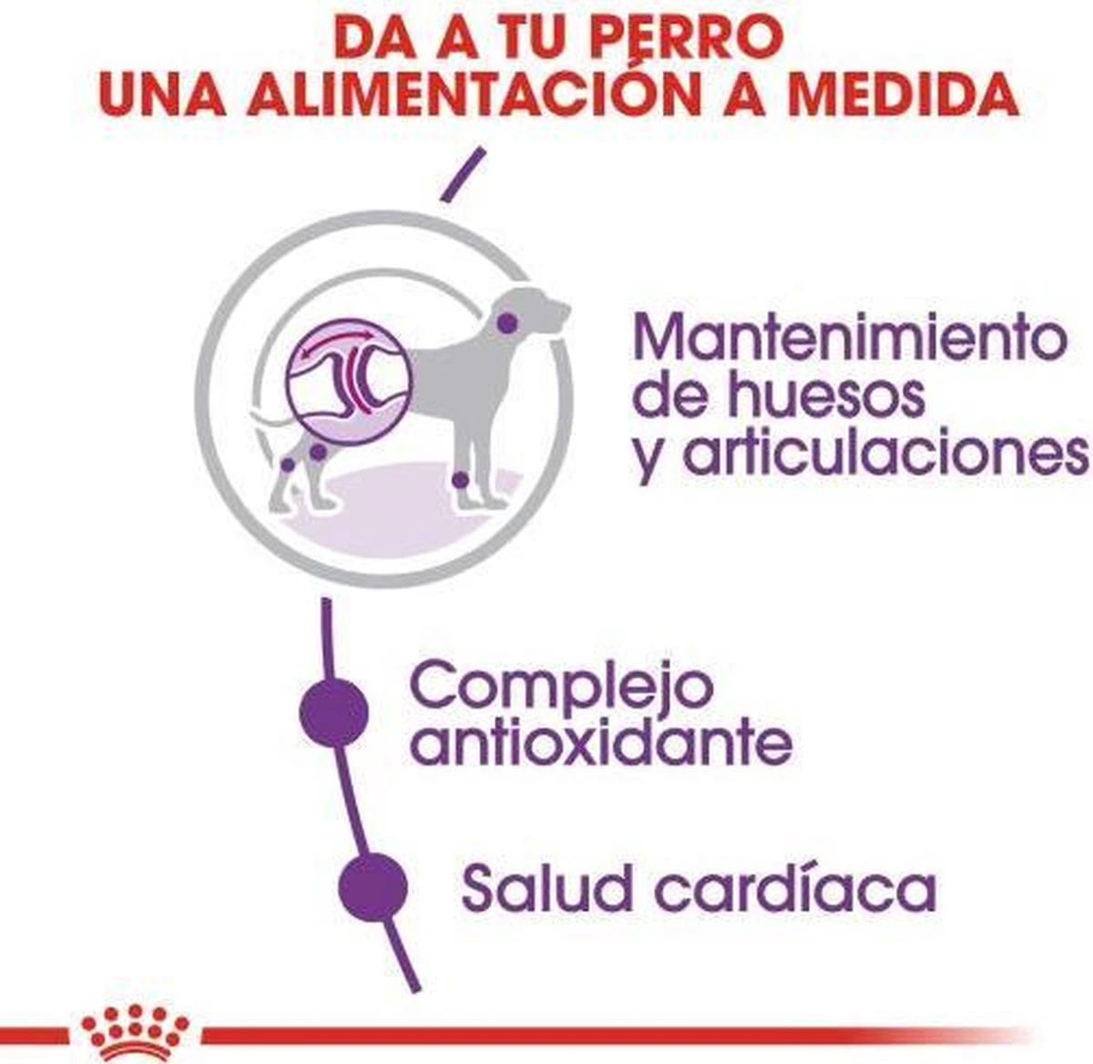 Royal Canin Giant Adult 15 KG 9 Royal Canin Giant Adult 15 KG - Afbeelding 7