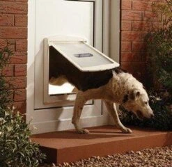 Petsafe 760 Hondenluik - L - Wit - 37 X 31,4 Cm 24 Petsafe 760 Hondenluik - L - Wit - 37 X 31,4 Cm -Hondenartikelen Serie Winkel 1200x1168 12