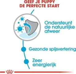 Royal Canin Mini Junior 8 KG -Hondenartikelen Serie Winkel 1200x1168