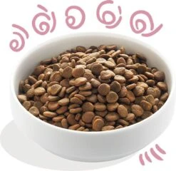 Edgard & Cooper Verse Scharreleend & Kip Brok - Voor Puppy’s - Hondenvoer - 2 X 2.5kg -Hondenartikelen Serie Winkel 1200x1168 3