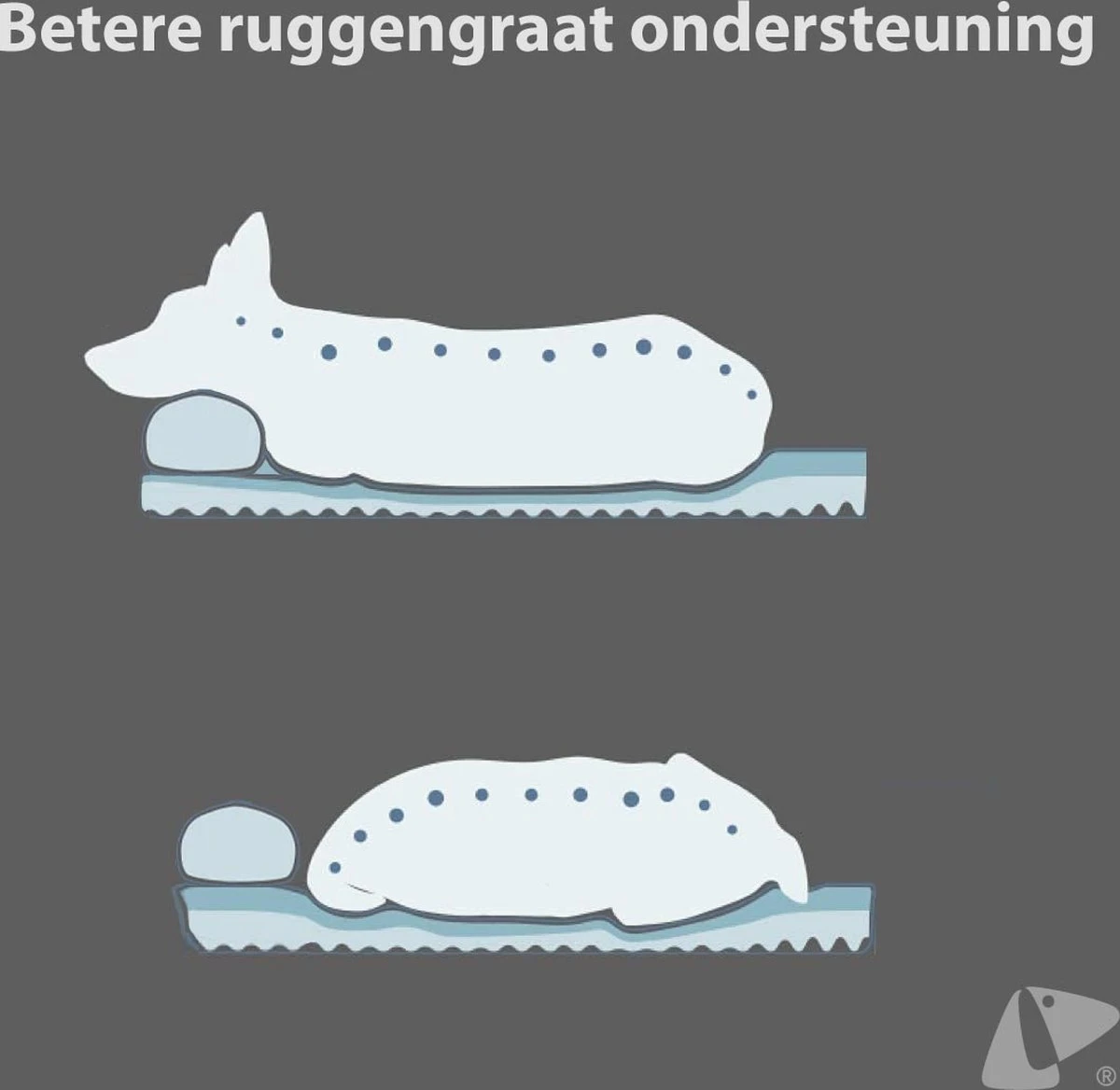 PETKIT® Deep Sleep Bed - Hondenmand - Kattenmand - Memory Foam - Orthopedisch - Maat M 7 PETKIT® Deep Sleep Bed - Hondenmand - Kattenmand - Memory Foam - Orthopedisch - Maat M - Afbeelding 5