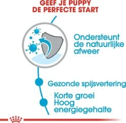 Royal Canin Medium Junior 15 KG -Hondenartikelen Serie Winkel 1200x1169 3