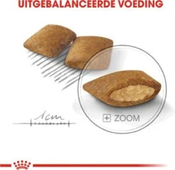 Royal Canin Ccn Exigent Mini - Hondenvoer - 1 Kg 14 Royal Canin Ccn Exigent Mini - Hondenvoer - 1 Kg -Hondenartikelen Serie Winkel 1200x1169 4