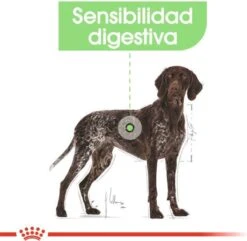 Royal Canin Digestive Care Maxi - Hondenvoer - 12 Kg 20 Royal Canin Digestive Care Maxi - Hondenvoer - 12 Kg -Hondenartikelen Serie Winkel 1200x1169 5