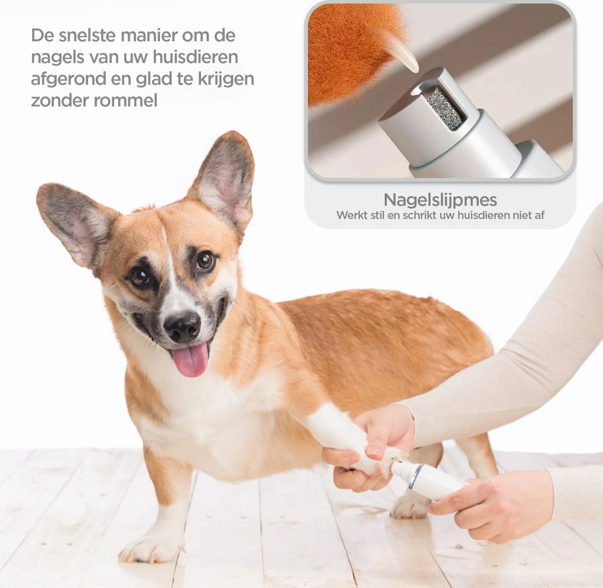 Revo Goods Professionele 4 In 1 Hondentondeuse Set -Ideaal Voor Honden En Andere Huisdieren - Slijper Inbegrepen -Draadloos - Ultra Stil 5 Revo Goods Professionele 4 In 1 Hondentondeuse Set -Ideaal Voor Honden En Andere Huisdieren - Slijper Inbegrepen -Draadloos - Ultra Stil - Afbeelding 4