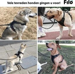Filo Anti Trek Hondentuig S Met Hondenriem - Y Tuig Hond Verstelbaar - Hondentuigje Kleine Hond + Hondenlijn - Easy Walk Hondenharnas - Hondentuigjes - Leiband - Honden Tuigje - Puppy - Tuig - Hond -Hondenartikelen Serie Winkel 1200x1170 23