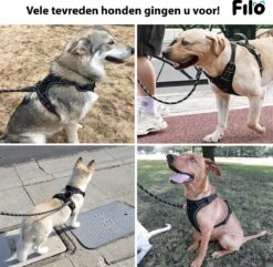 Filo Anti Trek Hondentuig L Met Hondenriem - Y Tuig Hond - Easy Walk Hondenharnas Large + Hondenlijn - Hondentuigje Verstelbaar - Leiband - Honden Tuigje - Riem -Hondenartikelen Serie Winkel 1200x1170 25