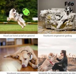 Filo Honden Speelgoed Set 14 Stuks - Hondenspeeltjes Knuffel - Hondenbal - Flostouw - Bot - Frisbee - Hondentouw - Hondenspeelgoed Intelligentie - Kauwspeelgoed Hond En Puppy - Bijtspeelgoed Hondenknuffel - Hondenspeeltje Met Piep -Hondenartikelen Serie Winkel 1200x1171 15