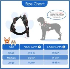 Nobleza 42ZHX - Hondenharnas - Hondentuigje - Anti Trek - M - Zwart -Hondenartikelen Serie Winkel 1200x1172 16