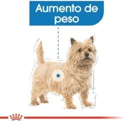 Royal Canin Mini Light 8 KG -Hondenartikelen Serie Winkel 1200x1172