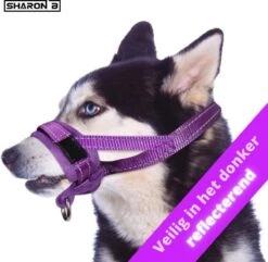 Sharon B Muilkorf Paars Maat M - Fleece - Wasbaar - Reflecterend -Hondenartikelen Serie Winkel 1200x1173 9