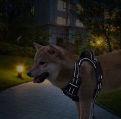 Nobleza 42ZHY - Hondenharnas - Hondentuigje - Anti Trek - L - Zwart -Hondenartikelen Serie Winkel 1200x1174 24