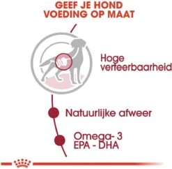 Royal Canin Shn Medium Adult Pouch - Hondenvoer - 10 X 140 G 15 Royal Canin Shn Medium Adult Pouch - Hondenvoer - 10 X 140 G -Hondenartikelen Serie Winkel 1200x1175 1