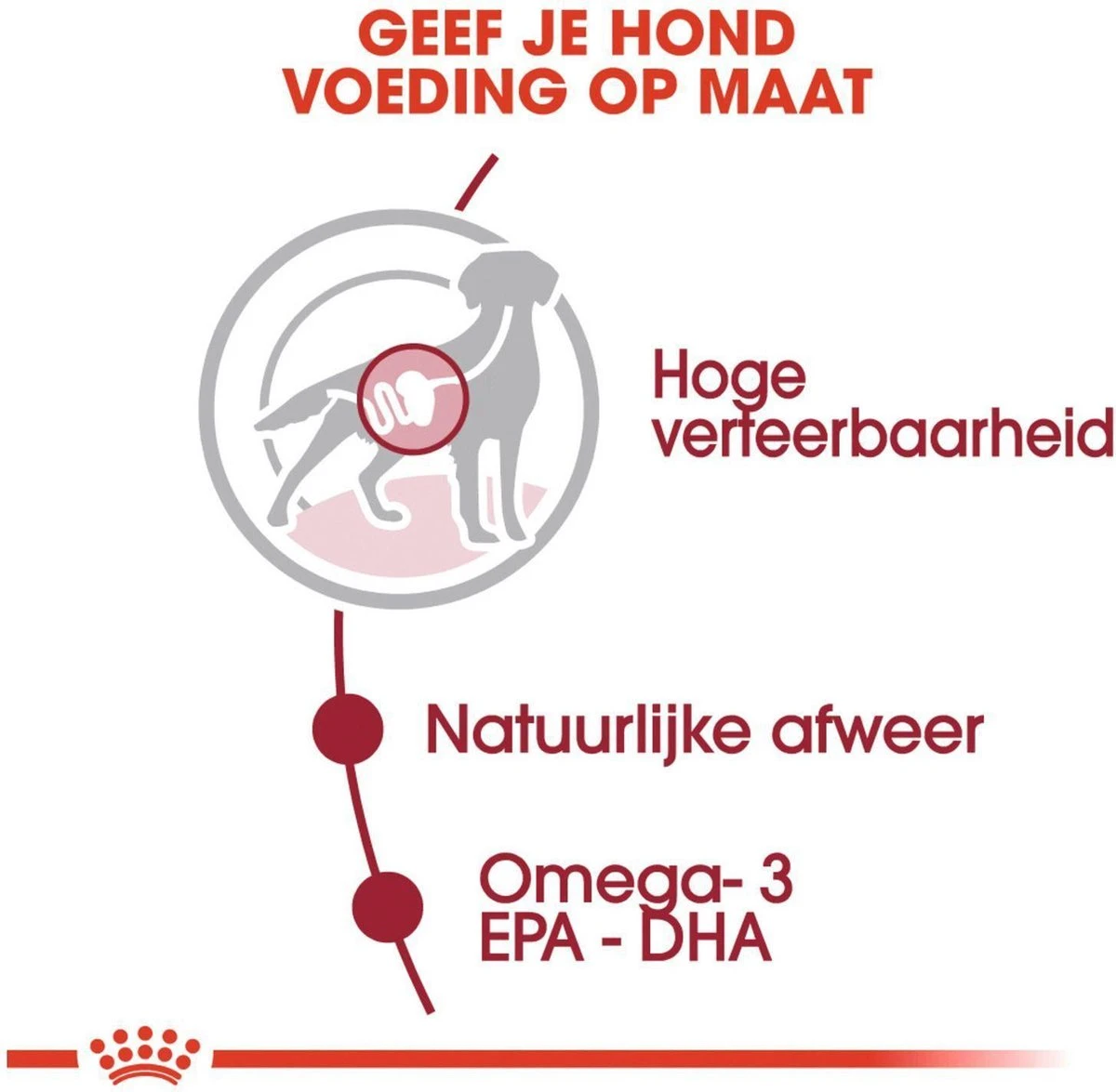 Royal Canin Shn Medium Adult Pouch - Hondenvoer - 10 X 140 G 6 Royal Canin Shn Medium Adult Pouch - Hondenvoer - 10 X 140 G - Afbeelding 5