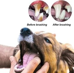 Doodadeals® 4 Stuks Siliconen Honden Tandenborstel - Tanden Borstel Hond - Silicone Dog Tootbrush - Multikleur -Hondenartikelen Serie Winkel 1200x1175 10