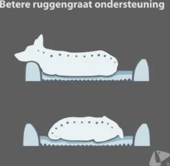 PETKIT® Four Season - Hondenmand - Kattenmand - Wasbaar - Memory Foam - Maat L -Hondenartikelen Serie Winkel 1200x1175 2