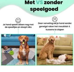 Petloverz – Honden Speelgoed Set – Honden Speeltjes – Knuffel - Speelgoed – Intelligentie – 15 Speeltjes 14 Petloverz – Honden Speelgoed Set – Honden Speeltjes – Knuffel - Speelgoed – Intelligentie – 15 Speeltjes -Hondenartikelen Serie Winkel 1200x1177 12