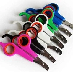 Doodadeals® | Nagelschaar Kat | Nagelschaar Hond | Nagelschaar Konijn | Nagelschaar Cavia | Multi Color | 1 Stuk -Hondenartikelen Serie Winkel 1200x1178 11