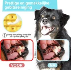 Merkloos Corn Dog Toothbrush - Honden Speelgoed - Hondenspeelgoed - Honden Tandenborstel - Gezond Dieet - Hondenspeeltje - Honden Speelgoed Intelligentie 17 Merkloos Corn Dog Toothbrush - Honden Speelgoed - Hondenspeelgoed - Honden Tandenborstel - Gezond Dieet - Hondenspeeltje - Honden Speelgoed Intelligentie -Hondenartikelen Serie Winkel 1200x1179 12