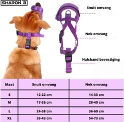 Sharon-B Muilkorf Turquoise Maat S - Fleece - Reflecterend - Kleine Hond -Hondenartikelen Serie Winkel 1200x1179 6