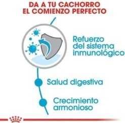 Royal Canin Mini Junior 8 KG -Hondenartikelen Serie Winkel 1200x1180 1