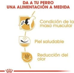 Royal Canin French Bulldog Adult 9 KG 19 Royal Canin French Bulldog Adult 9 KG -Hondenartikelen Serie Winkel 1200x1180 3