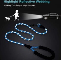 Merkloos Hondenriem - Reflecterende Hondenriem - Rood -Hondenartikelen Serie Winkel 1200x1181 10