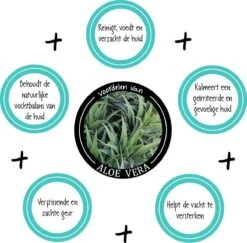 Greenfields Vacht Verzorging Set Voor Honden Shampoo, Conditioner & Droogshampoo -Hondenartikelen Serie Winkel 1200x1182 7