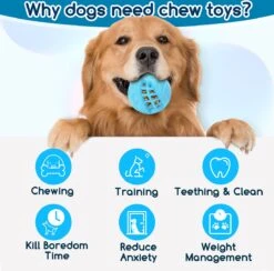 Nobleza Honden Speelgoed - Hondenspeeltjes - Hondenbal - Hondenspeelgoed - Honden Bal - Snackbal Hond - Kauwspeelgoed - Blauw - 8 Cm -Hondenartikelen Serie Winkel 1200x1183 12