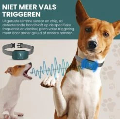 Salvano Anti Blafband - Blafband Voor Honden - Opvoedingshalsbanden - Voor Kleine En Grote Honden - Anti Blafband Zonder Schok- Oplaadbaar - Anti Blaf Apparaat - Blafband - Diervriendelijk 13 Salvano Anti Blafband - Blafband Voor Honden - Opvoedingshalsbanden - Voor Kleine En Grote Honden - Anti Blafband Zonder Schok- Oplaadbaar - Anti Blaf Apparaat - Blafband - Diervriendelijk -Hondenartikelen Serie Winkel 1200x1183 4