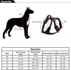 Hondenharnas – Inclusief Hondenriem – Reflecterend – Hondentuig – Hondenriem – Y Tuig Hond - Anti Trek Tuig - Zwart – Maat M -Hondenartikelen Serie Winkel 1200x1184 16