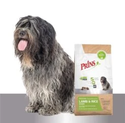 Prins Procare Hypoallergic Senior - Lam & Rijst - Hondenvoer - 15 Kg -Hondenartikelen Serie Winkel 1200x1184