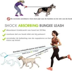 Looplijn Met Heupriem Hands Free - Hondenriem - Reflecterende Hardloopband -Elastische Leiband - Heuptas En Flessenhouder - Zwart - 150 Cm Tot 210 Cm 17 Looplijn Met Heupriem Hands Free - Hondenriem - Reflecterende Hardloopband -Elastische Leiband - Heuptas En Flessenhouder - Zwart - 150 Cm Tot 210 Cm -Hondenartikelen Serie Winkel 1200x1185 9