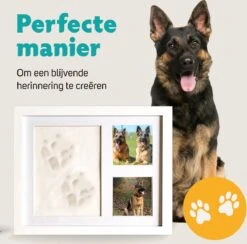 Honden Fotolijst Met Kleiafdruk - Gipsafdruk - Speelgoed Voor Dieren - Pootafdruk Hond - Puppy Speelgoed - Gipsafdruk Huisdier -Hondenartikelen Serie Winkel 1200x1186 22