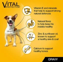 Pedigree Natvoer Mixed Selection 84 X 100 G. Kip, Runds, Kalkoen En Lams - Hondenvoeding -Compleet Nat Hondenvoer. -Hondenartikelen Serie Winkel 1200x1187 1