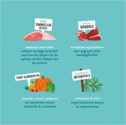 Merkloos Edgard & Cooper Hondenvoer Multipack Kip - Wild - Lam 6 X 100 Gr 13 Merkloos Edgard & Cooper Hondenvoer Multipack Kip - Wild - Lam 6 X 100 Gr -Hondenartikelen Serie Winkel 1200x1187 4