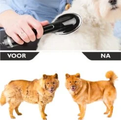 RoiPets® Hondenfohn 2 In 1 – 1000W - Honden Droger – Met Borstel - Waterblazer - Haar Verzorging - Honden Borstel Zwart - Honden/Katten/Dieren -Hondenartikelen Serie Winkel 1200x1188 5