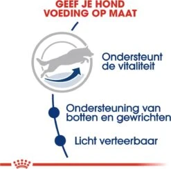 Royal Canin Maxi Adult 5+ Jaar Oud - Hondenvoer - 15 Kg -Hondenartikelen Serie Winkel 1200x1190
