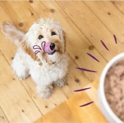 Merkloos Edgard & Cooper Hondenvoer Multipack Kip - Wild - Lam 6 X 100 Gr 12 Merkloos Edgard & Cooper Hondenvoer Multipack Kip - Wild - Lam 6 X 100 Gr -Hondenartikelen Serie Winkel 1200x1190 3