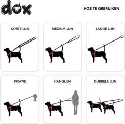DDOXX Hondenriem Air Mesh, 3-voudig Verstelbaar, 2m | Voor Kleine & Grote Honden | Dubbele Riem Twee Honden Kat Puppy | Tug Leash Large | Lead Leash Small | Walking Leash Puppy Leash | Zwart, XS -Hondenartikelen Serie Winkel 1200x1191 13