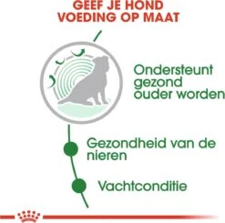 Royal Canin Shn Mini Ageing 12plus Pouch - Hondenvoer - 12x85 G -Hondenartikelen Serie Winkel 1200x1192 1