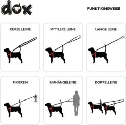 DDOXX Hondenriem Air Mesh, 3-voudig Verstelbaar, 2m | Voor Kleine & Grote Honden | Dubbele Riem Twee Honden Kat Puppy | Tug Leash Large | Lead Leash Small | Walking Leash Puppy Leash | Zwart, M -Hondenartikelen Serie Winkel 1200x1192 10